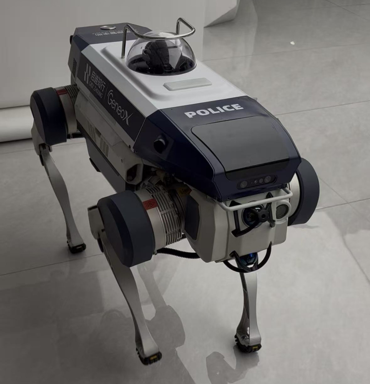 China’s Technological Daily Life: Robots as Part of Everyday Reality