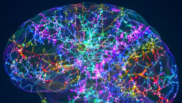 Breakthrough in Neurology: New Ultrasound Device Stimulates Deep Brain Regions Without Surgery